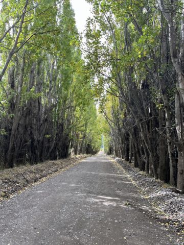 Hermosa Propiedad en Venta y/o Arriendo sector El Verdin, Coyhaique.-