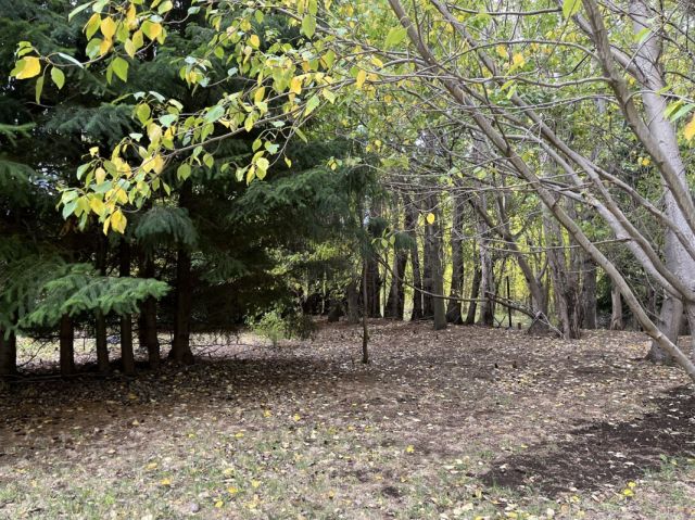 Hermosa Propiedad en Venta y/o Arriendo sector El Verdin, Coyhaique.-