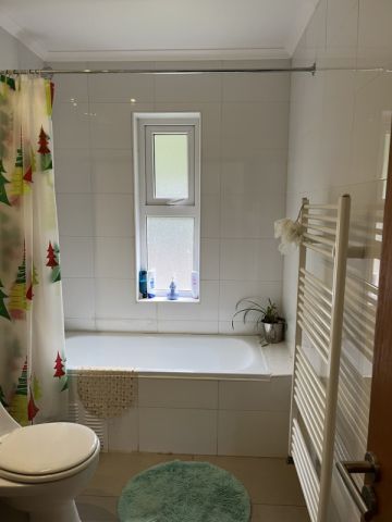 Hermosa Propiedad en Venta y/o Arriendo sector El Verdin, Coyhaique.-