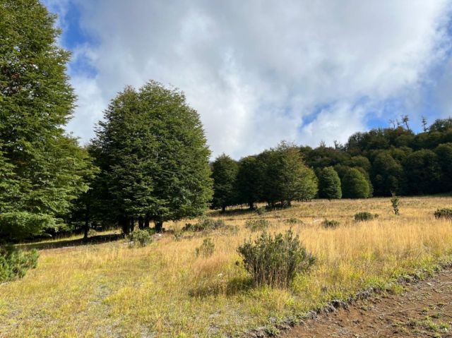 Parcela con vista Lago Póllux, Coyhaique. Acceso al Lago y muelle