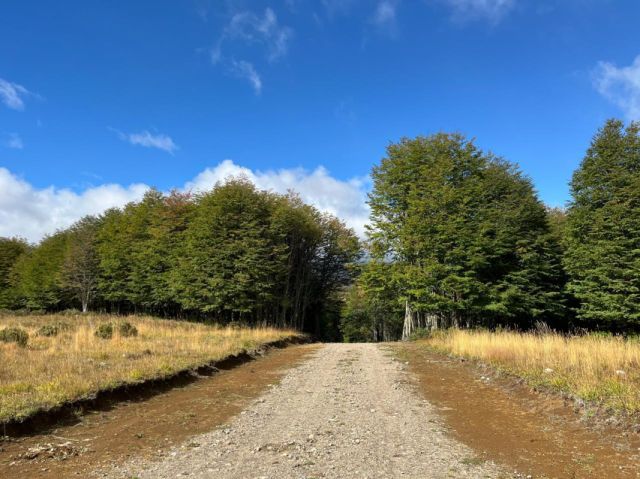 Parcela con vista Lago Póllux, Coyhaique. Acceso al Lago y muelle