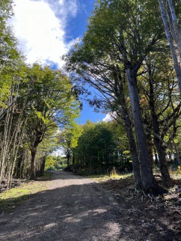 Parcela con vista Lago Póllux, Coyhaique. Acceso al Lago y muelle