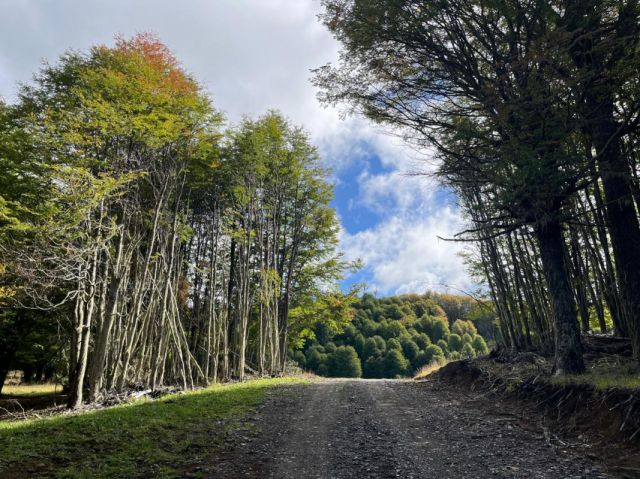 Parcela con vista Lago Póllux, Coyhaique. Acceso al Lago y muelle
